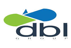 db l group logo